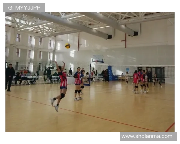 排球心理素质排名揭晓北京排球队荣获第四名引关注