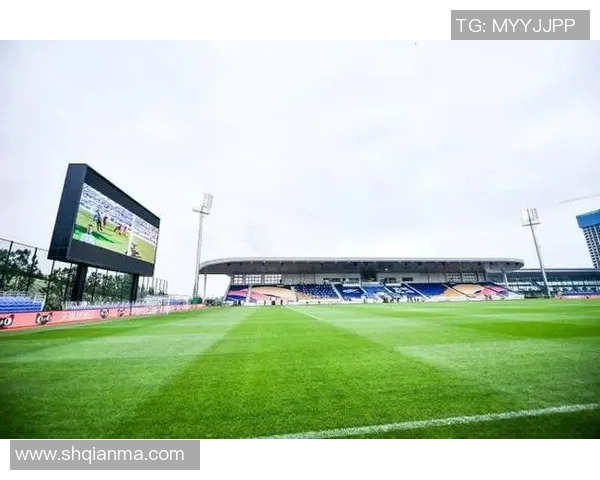 大连玉山足球崛起之路探索青训发展与地方文化融合的成功案例 大连玉山足球崛起之路探索青训发展与地方文化融合的成功案例