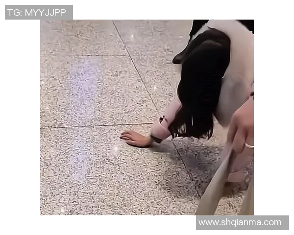 探索跪地爬行足球的魅力与挑战让我们一起感受这项独特运动的乐趣与团队精神