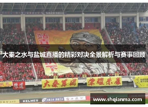 大秦之水与盐城直播的精彩对决全景解析与赛事回顾