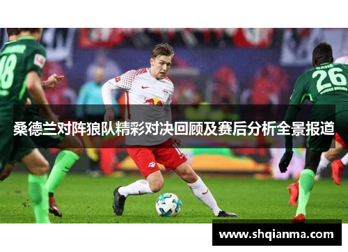 桑德兰对阵狼队精彩对决回顾及赛后分析全景报道