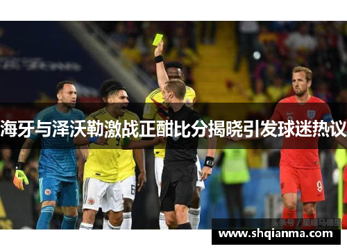 海牙与泽沃勒激战正酣比分揭晓引发球迷热议