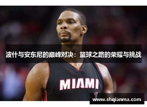 波什与安东尼的巅峰对决：篮球之路的荣耀与挑战