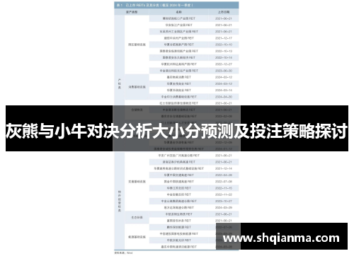 灰熊与小牛对决分析大小分预测及投注策略探讨