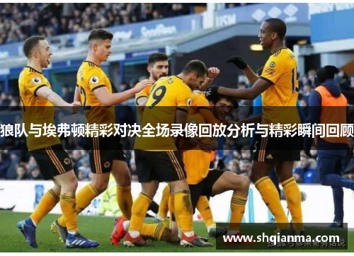 狼队与埃弗顿精彩对决全场录像回放分析与精彩瞬间回顾
